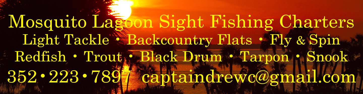 Mosquito Lagoon New Smyrna Beach Black Drum Fishing Light Tackle