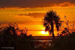 Mosquito Lagoon Sunset