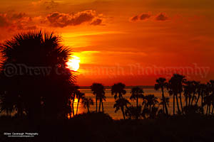 A Beautiful Sunset On The Mosquito Lagoon