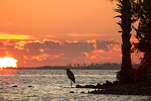 Sunrise in Florida on the Mosquito Lagoon