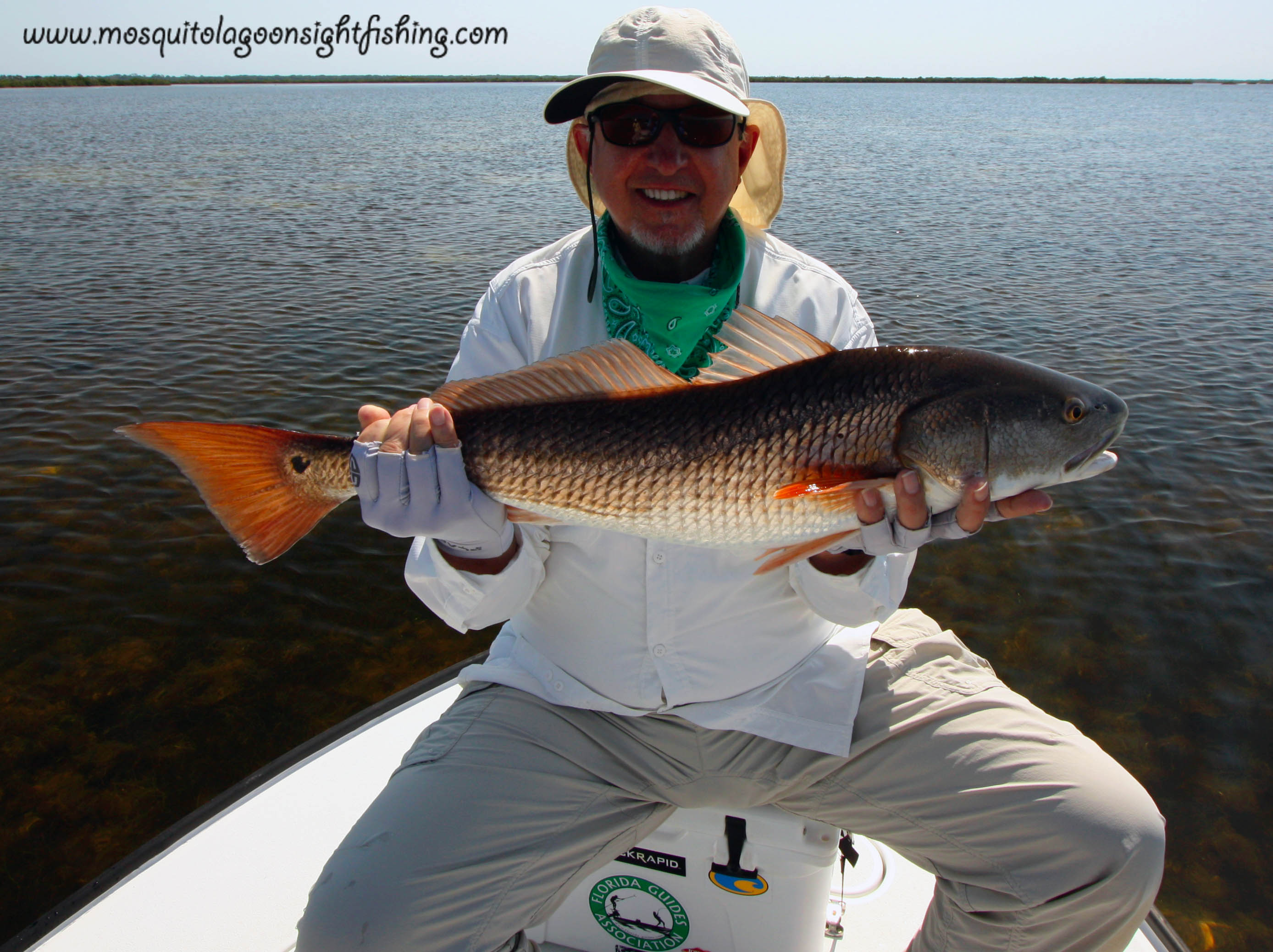 Cocoa Beach Flats Fishing • Titusville Red Drum • Bull Redfish