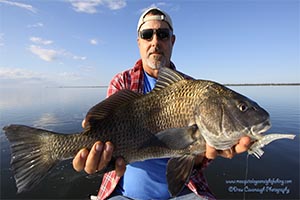 Mosquito Lagoon Black Drum Fishing Guides